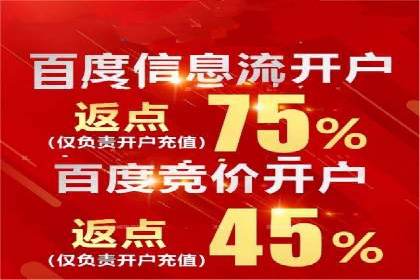 百度推广运营实战：成功案例解析